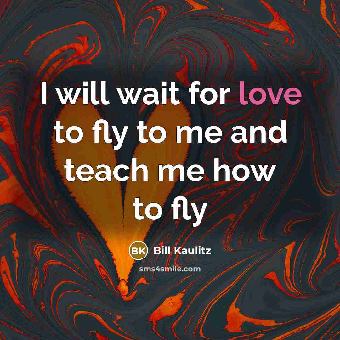 “I will wait for love to fly to me and…” quote by Bill Kaulitz