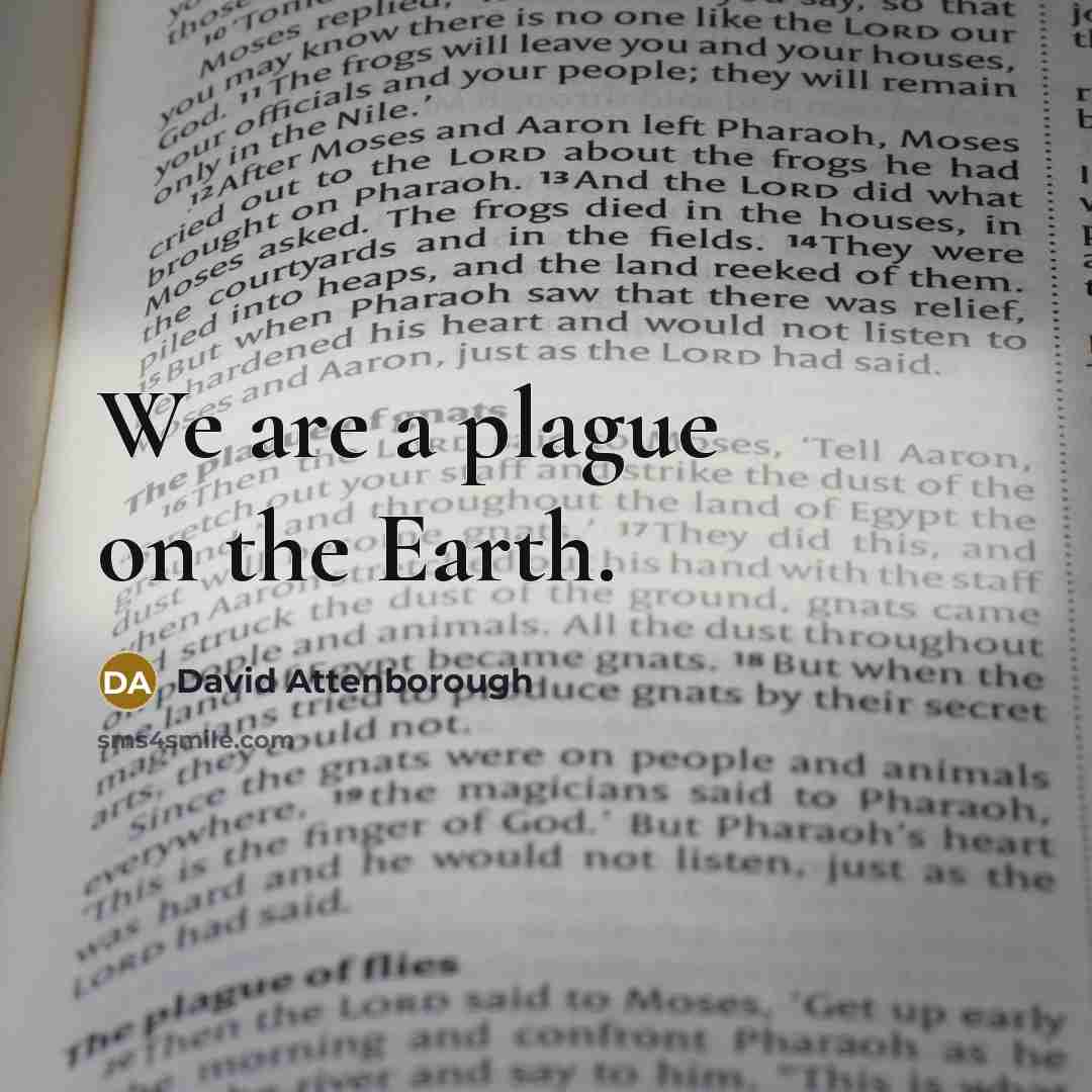 “We are a plague on the Earth.…” quote by David Attenborough