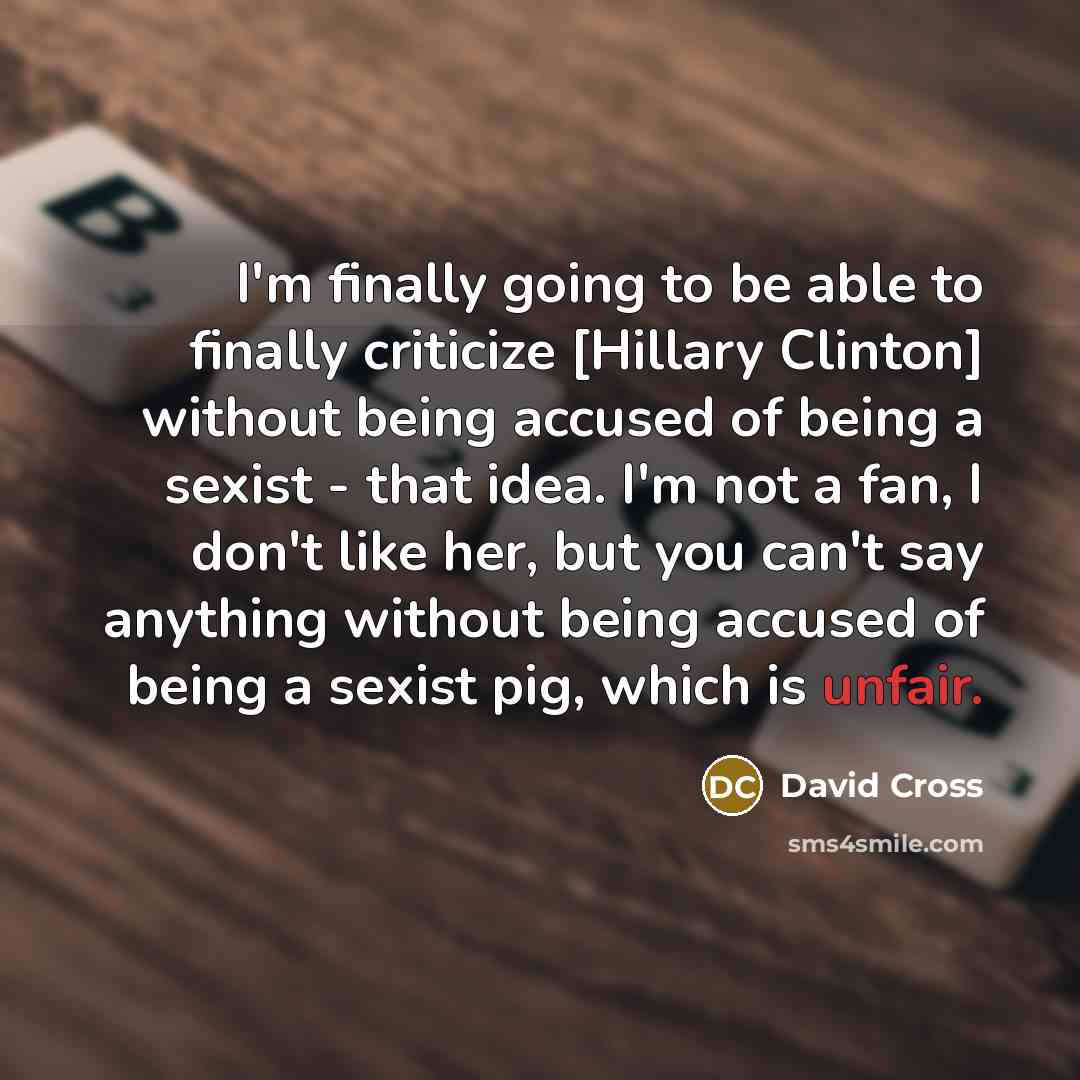 “I'm finally going to be able to finally criticize [Hillary…” quote by David Cross