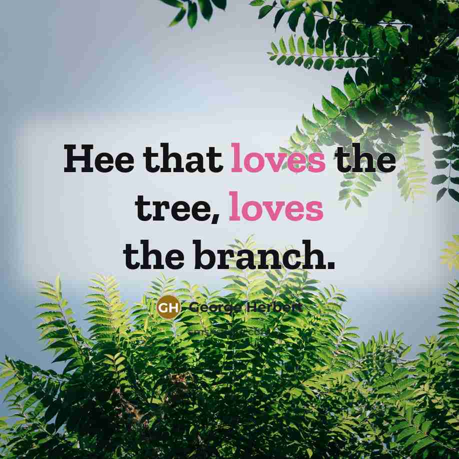 “Hee that loves the tree, loves the branch.” quote by George Herbert
