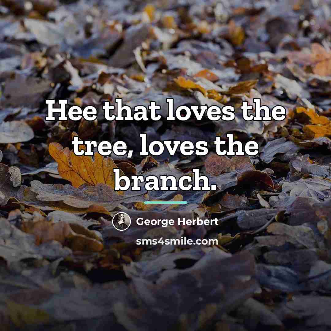 “Hee that loves the tree, loves the branch.…” quote by George Herbert