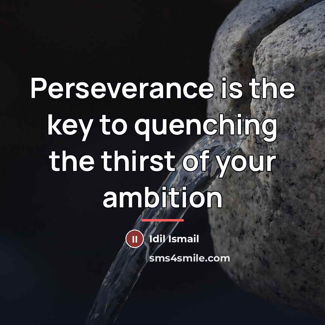 “Perseverance is the key to quenching the thirst of your…” quote by Idil Ismail