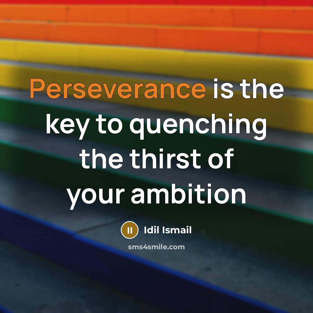 “Perseverance is the key to quenching the thirst of your ambition” quote by Idil Ismail