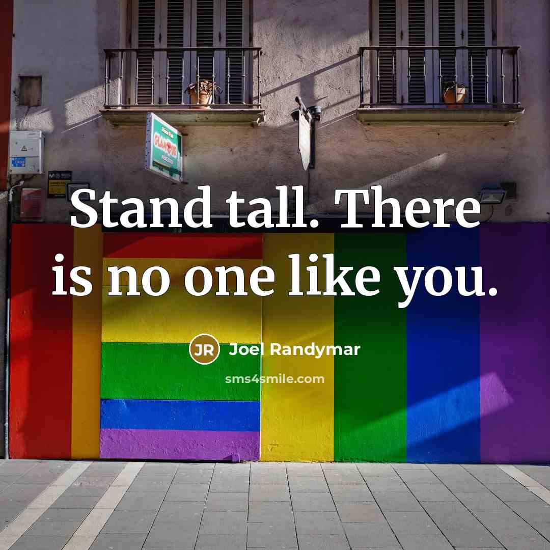 “Stand tall. There is no one like you.…” quote by Joel Randymar