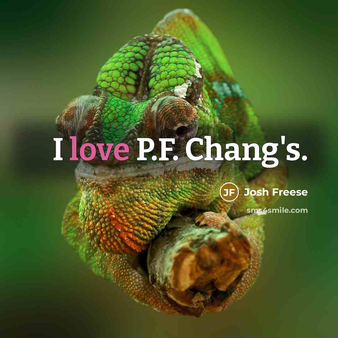“I love P.F. Chang's.…” quote by Josh Freese