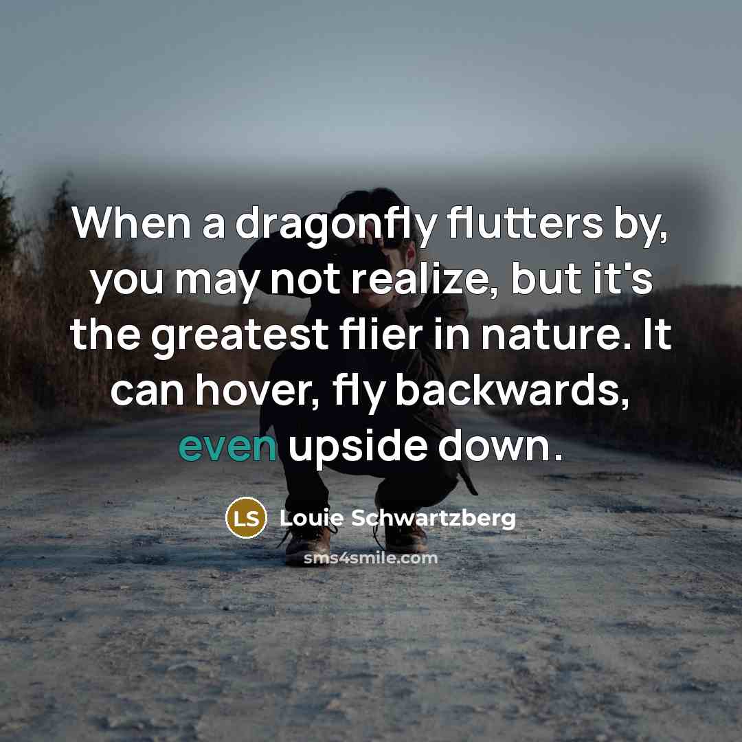 “When a dragonfly flutters by, you may not realize, but…” quote by Louie Schwartzberg