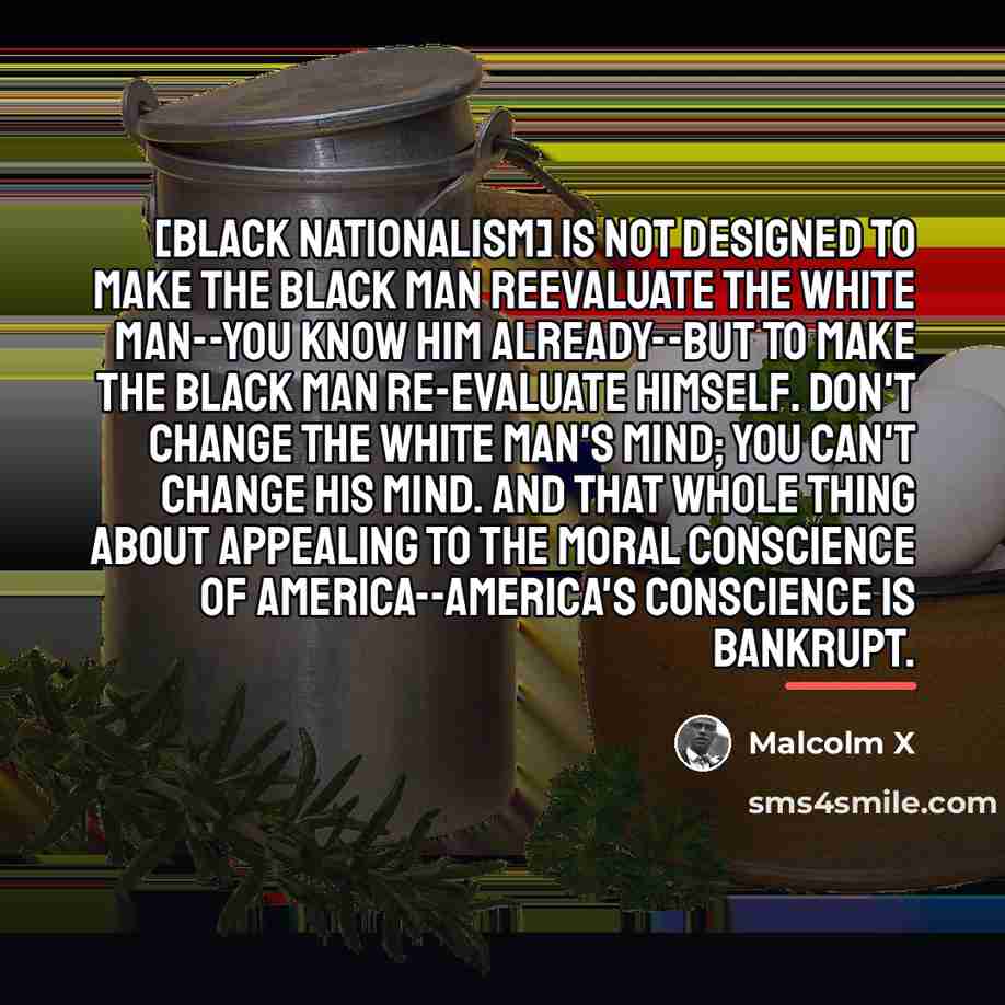 “[Black nationalism] is not designed to make the black man…” quote by Malcolm X