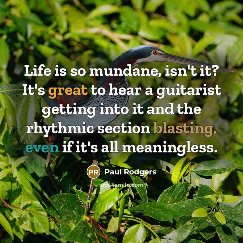 “Life is so mundane, isn't it? It's great to hear…” quote by Paul Rodgers