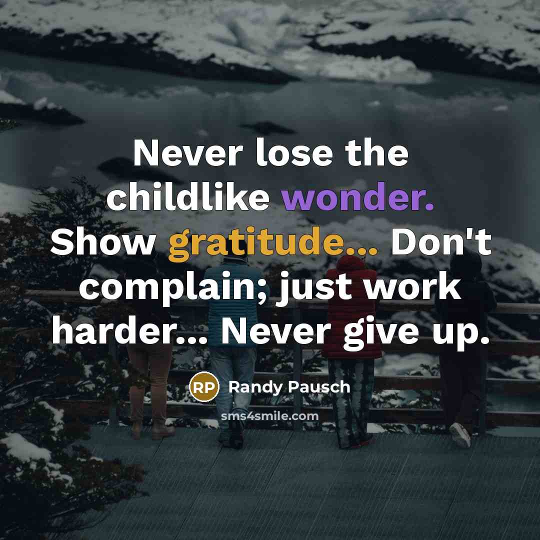 “Never lose the childlike wonder. Show gratitude... Don't complain; just…” quote by Randy Pausch