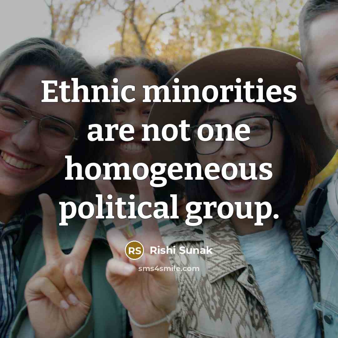 “Ethnic minorities are not one homogeneous political group.…” quote by Rishi Sunak