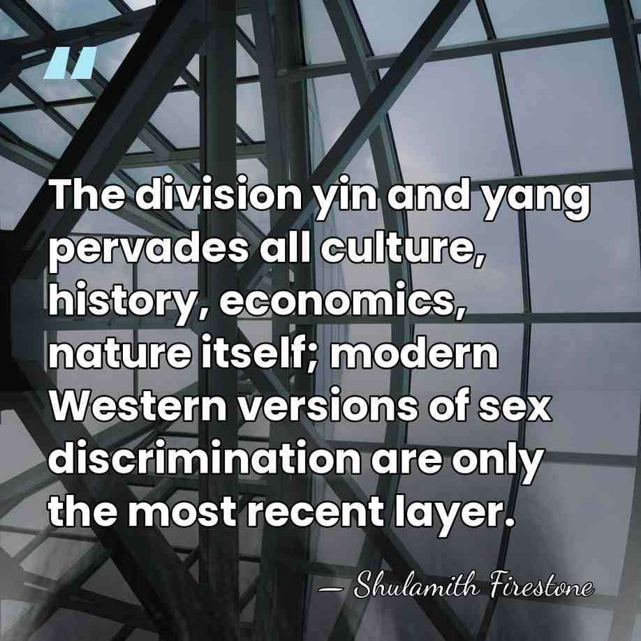 The division yin and yang pervades all culture, history, economics, nature itself;&hellip; - Shulamith Firestone