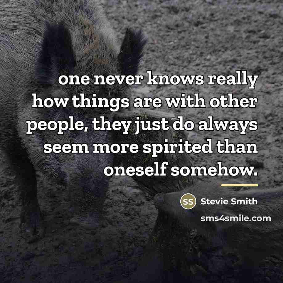 “one never knows really how things are with other people,…” quote by Stevie Smith