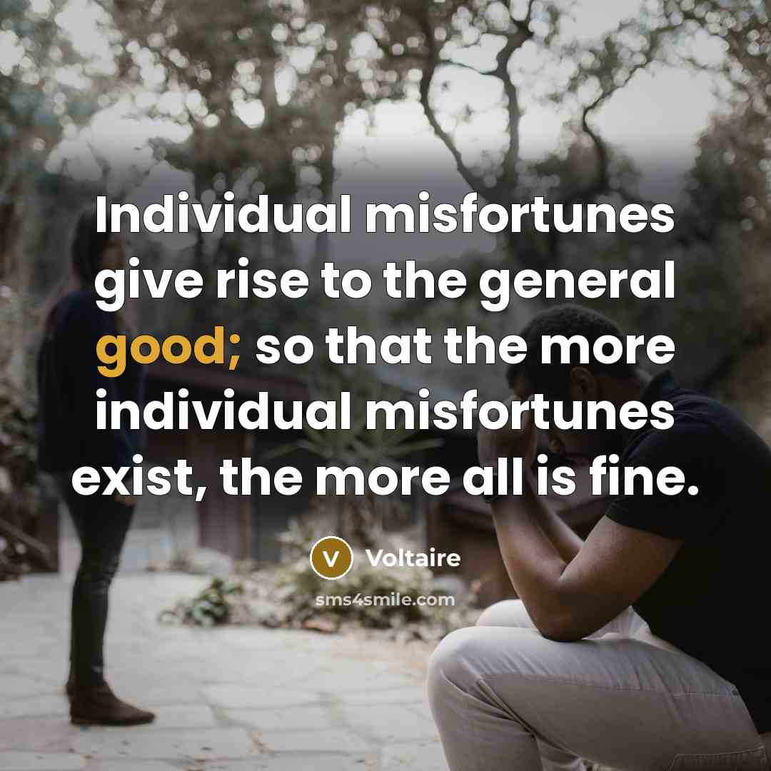 “Individual misfortunes give rise to the general good; so that…” quote by Voltaire