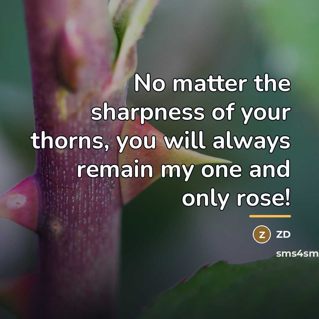 “No matter the sharpness of your thorns, you will always…” quote by Zd