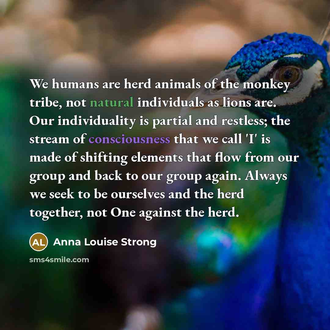 “We humans are herd animals of the monkey tribe, not…” quote by Anna Louise Strong