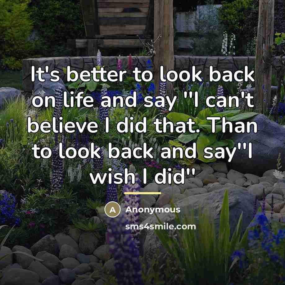“It's better to look back on life and say ''I…” quote by Anonymous
