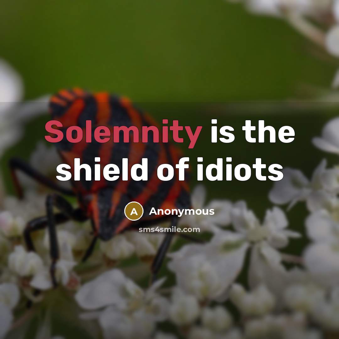 “Solemnity is the shield of idiots…” quote by Anonymous