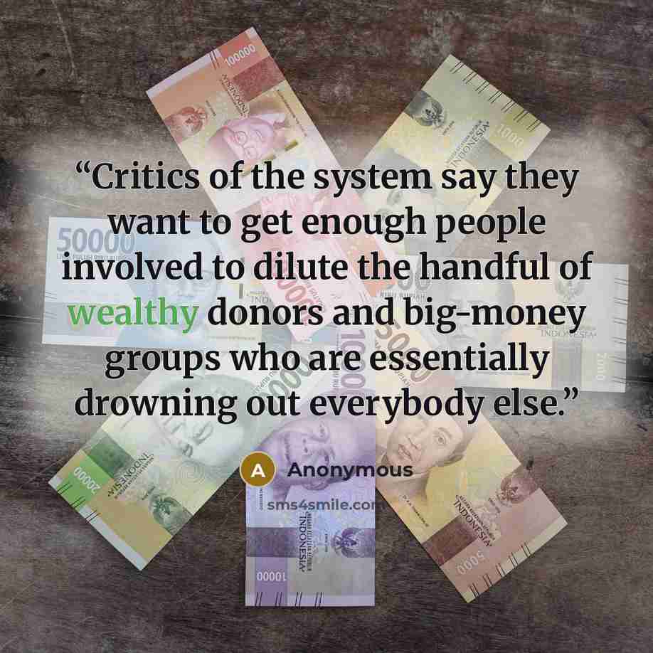 “Critics of the system say they want to get enough people involved to dilute the handful of wealthy donors and big-money groups who are essentially drowning out everybody else.” quote by Anonymous