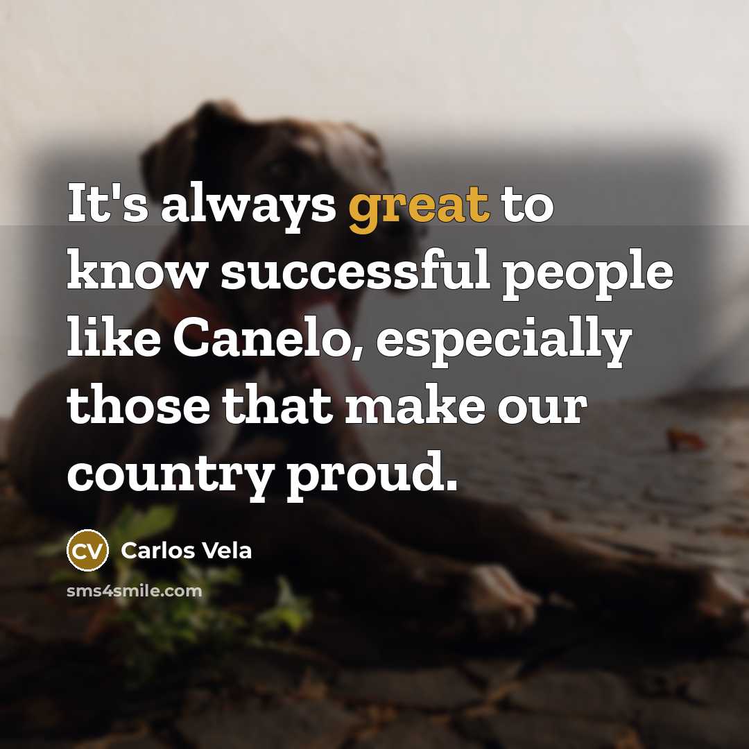 “It's always great to know successful people like Canelo, especially…” quote by Carlos Vela