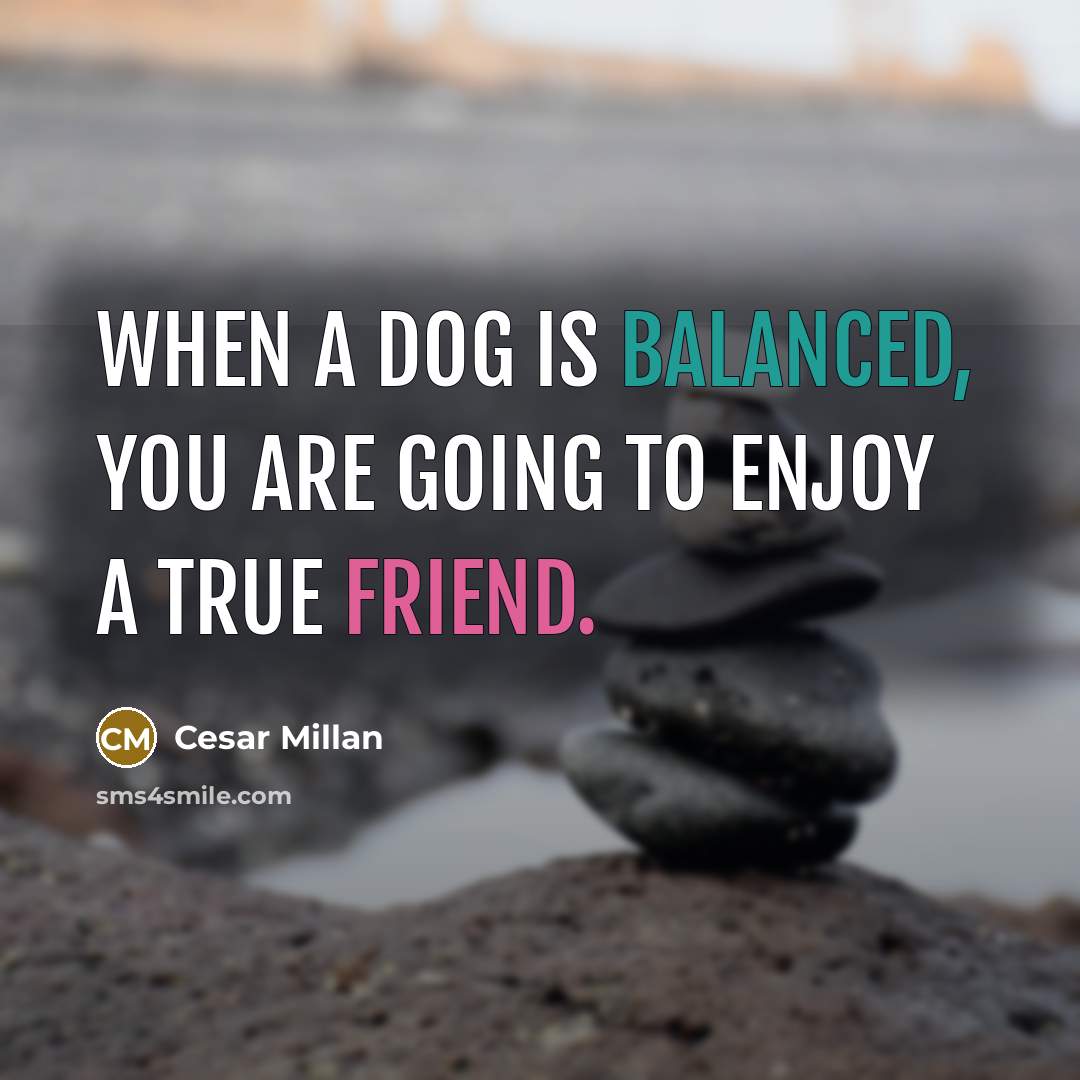 “When a dog is balanced, you are going to enjoy a true friend.” quote by Cesar Millan