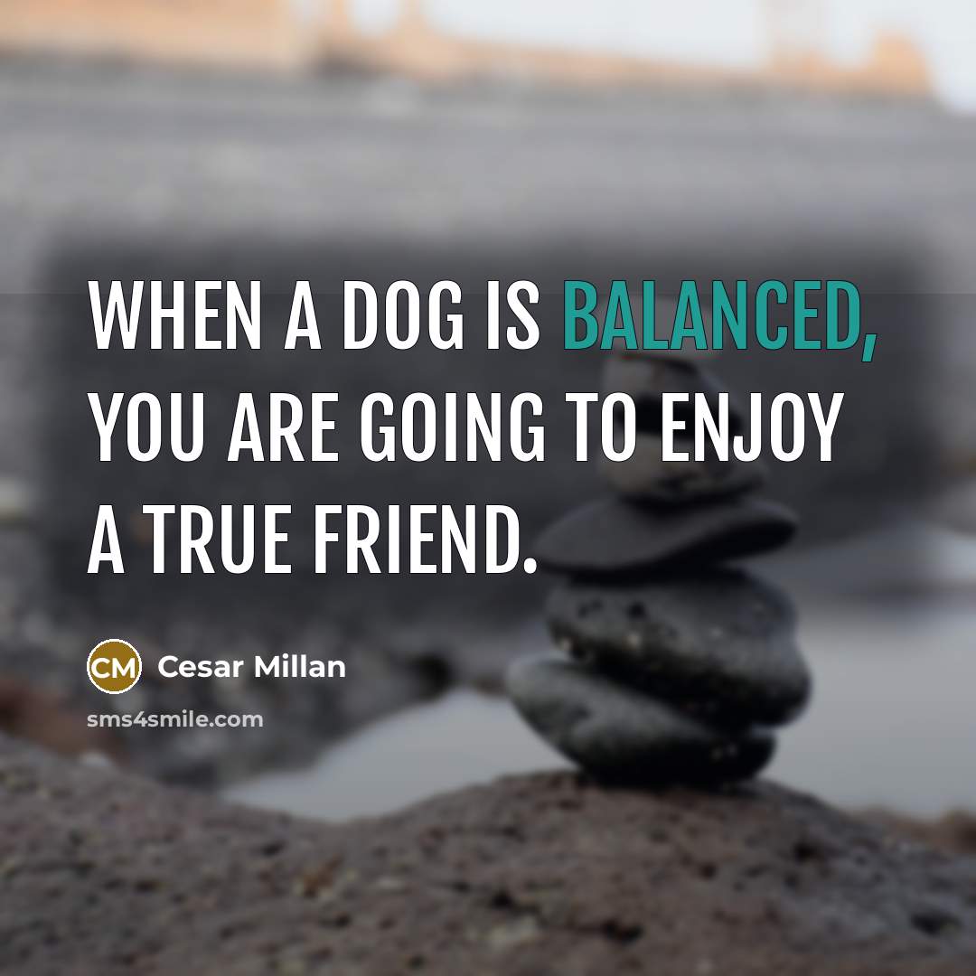 “When a dog is balanced, you are going to enjoy…” quote by Cesar Millan