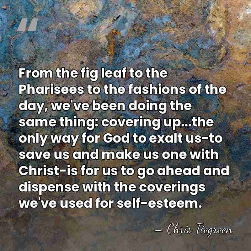 From the fig leaf to the Pharisees to the fashions of the&hellip; - Chris Tiegreen