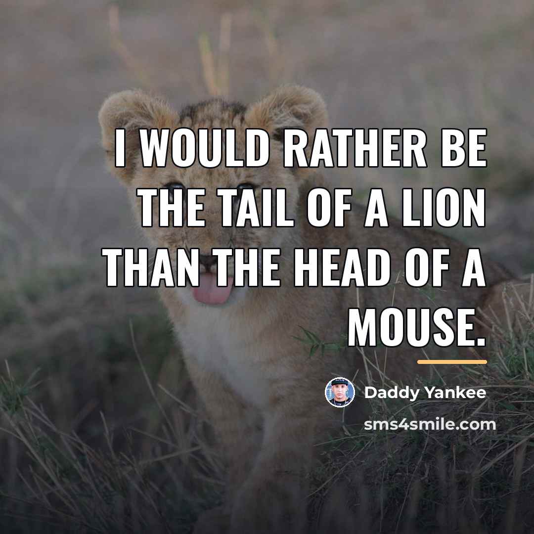 “I would rather be the tail of a lion than…” quote by Daddy Yankee