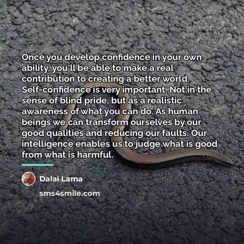 “Once you develop confidence in your own ability, you'll be…” quote by Dalai Lama