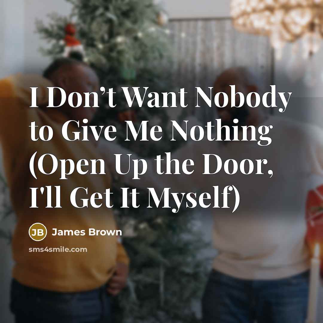 “I Don’t Want Nobody to Give Me Nothing (Open Up…” quote by James Brown