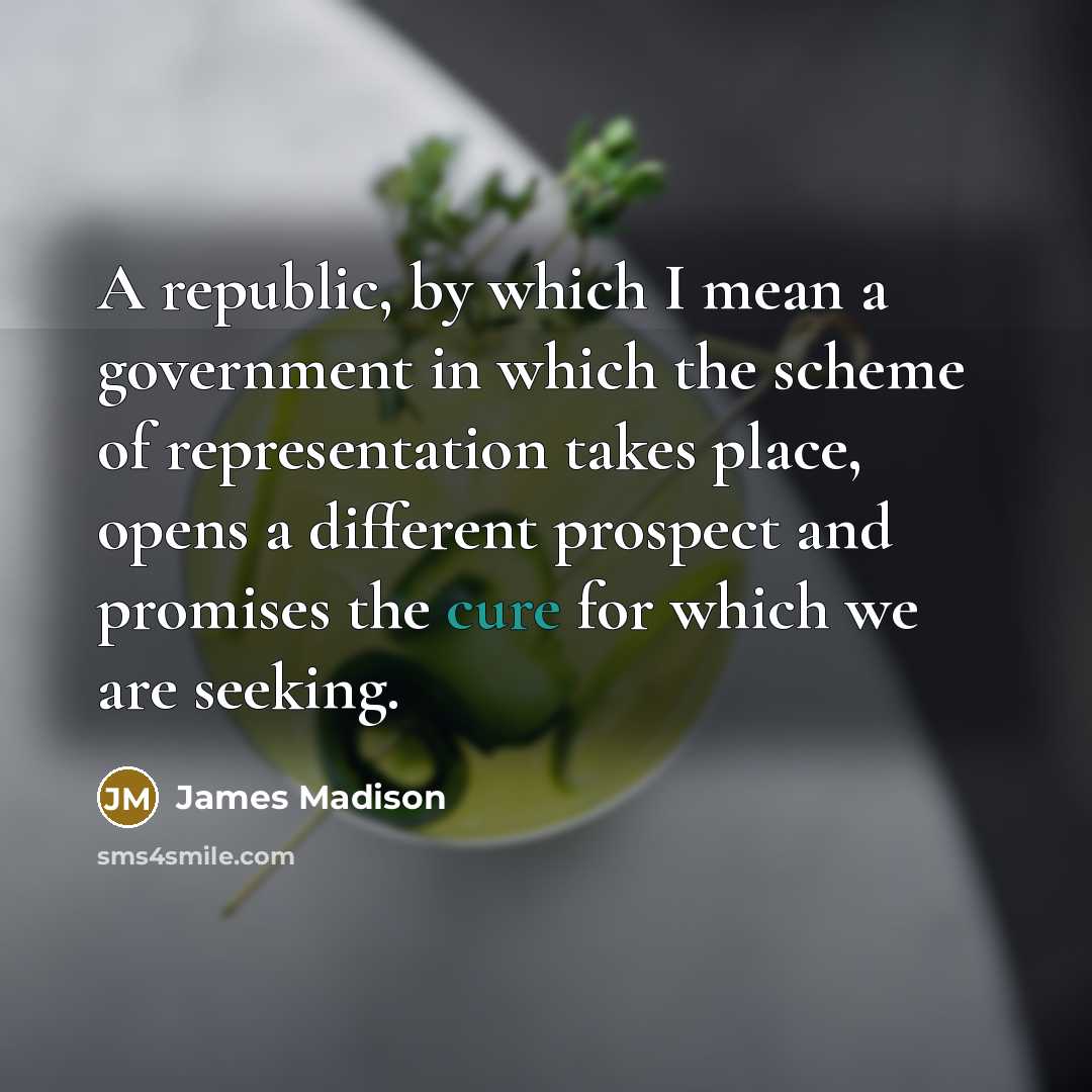 “A republic, by which I mean a government in which…” quote by James Madison