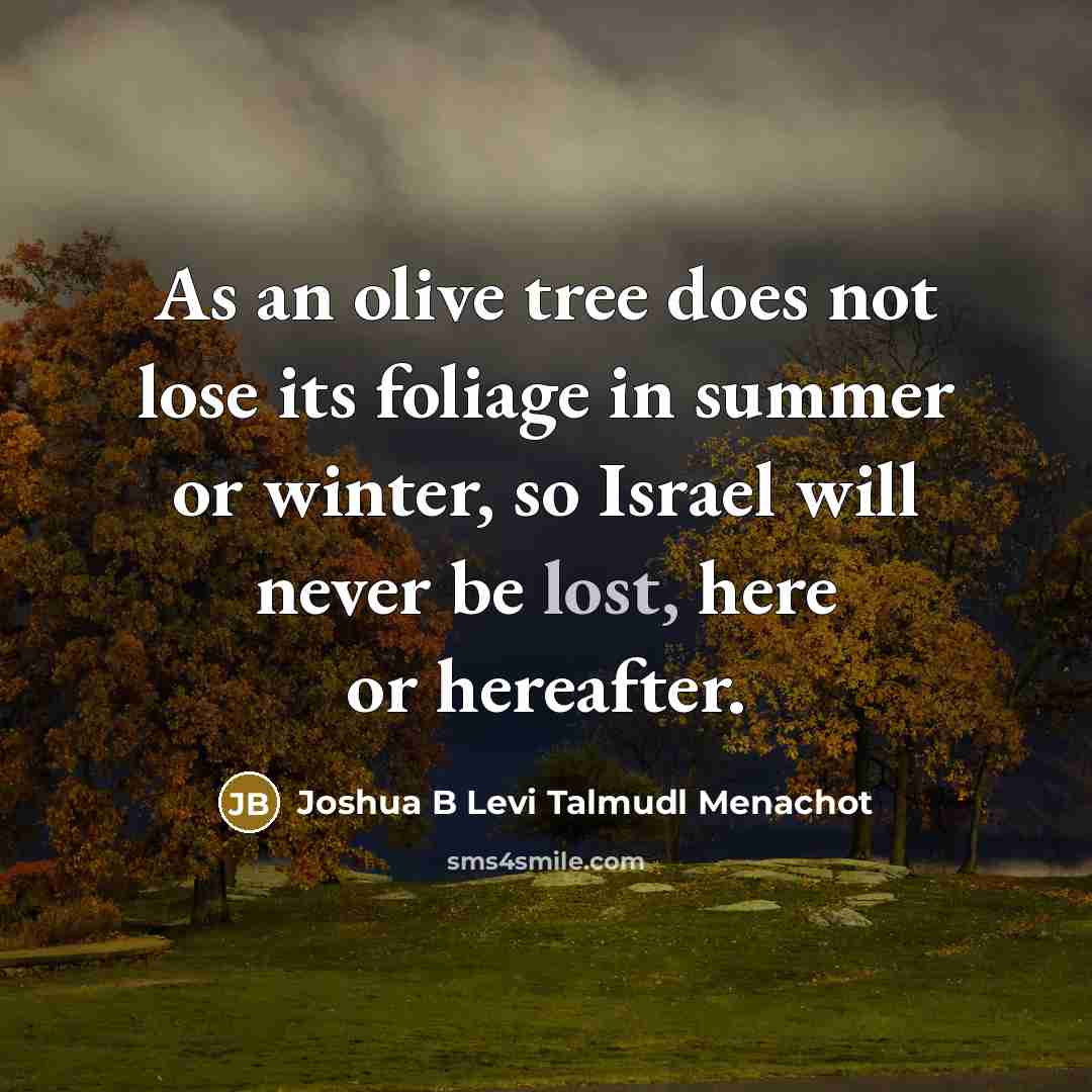 “As an olive tree does not lose its foliage in…” quote by Joshua B Levi Talmudl Menachot