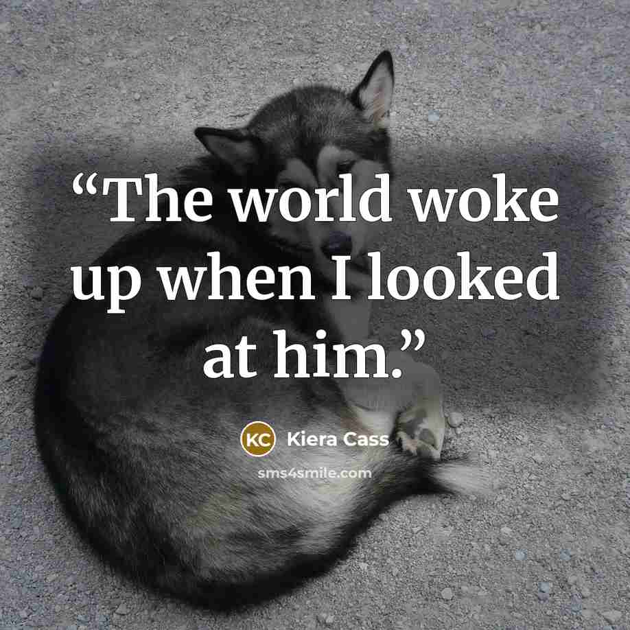 “The world woke up when I looked at him.” quote by Kiera Cass
