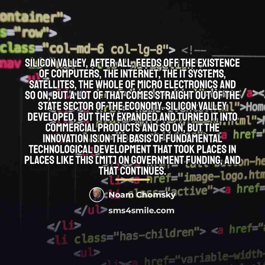 “Silicon Valley, after all, feeds off the existence of computers,…” quote by Noam Chomsky