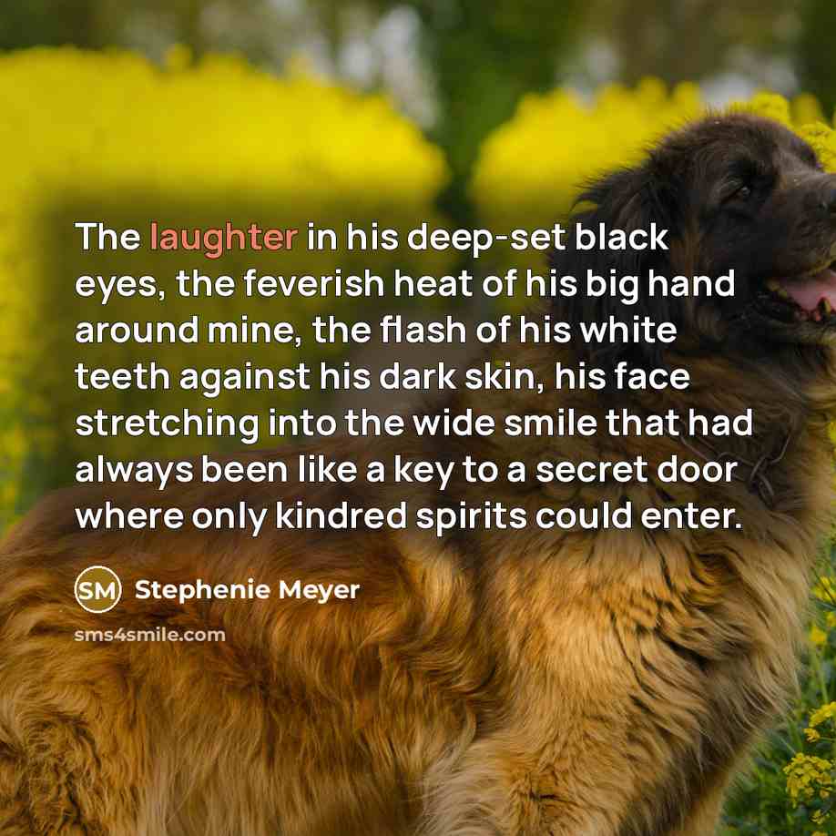 “The laughter in his deep-set black eyes, the feverish heat…” quote by Stephenie Meyer