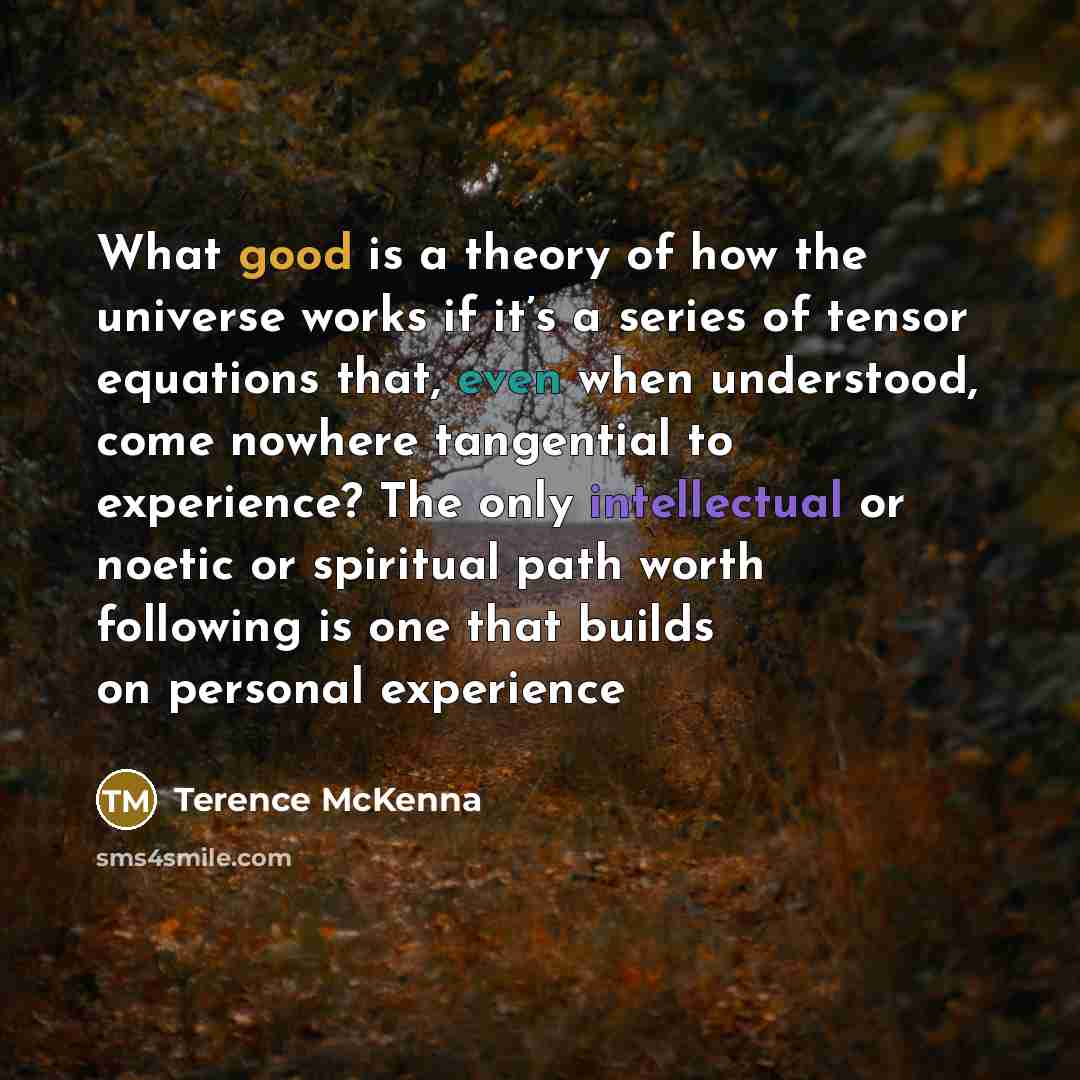 “What good is a theory of how the universe works…” quote by Terence McKenna
