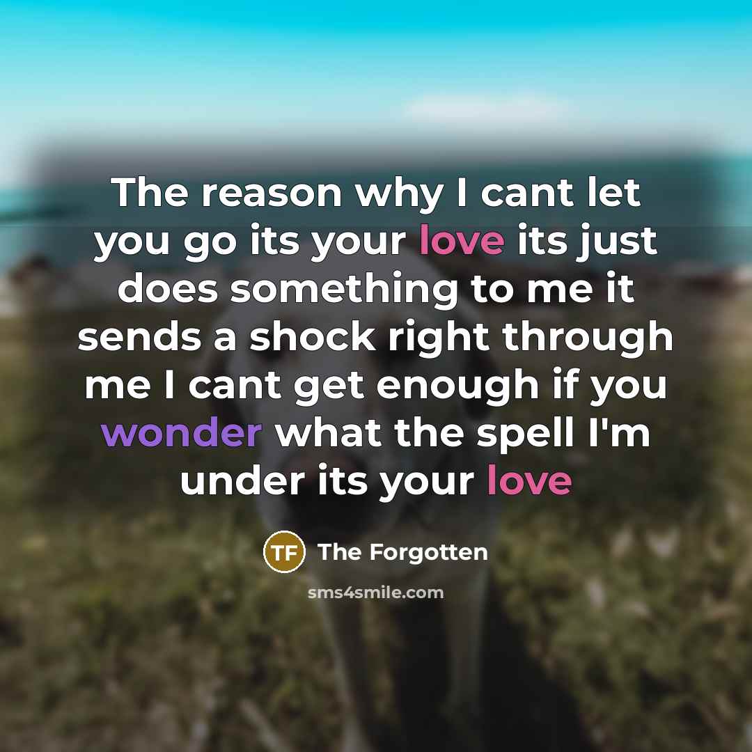 “The reason why I cant let you go its your love its just does something to me it sends a shock right through me I cant get enough if you wonder what the spell I'm under its your love” quote by The Forgotten