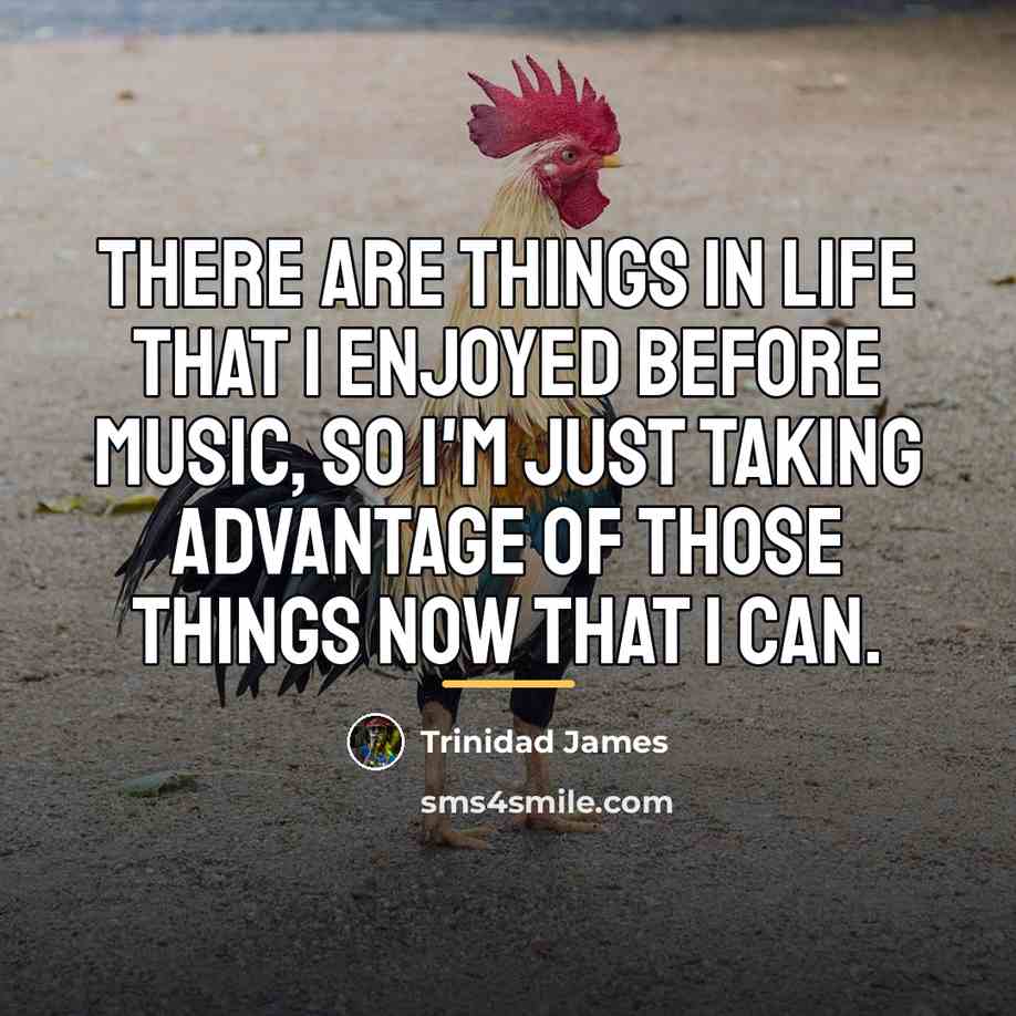 “There are things in life that I enjoyed before music,…” quote by Trinidad James