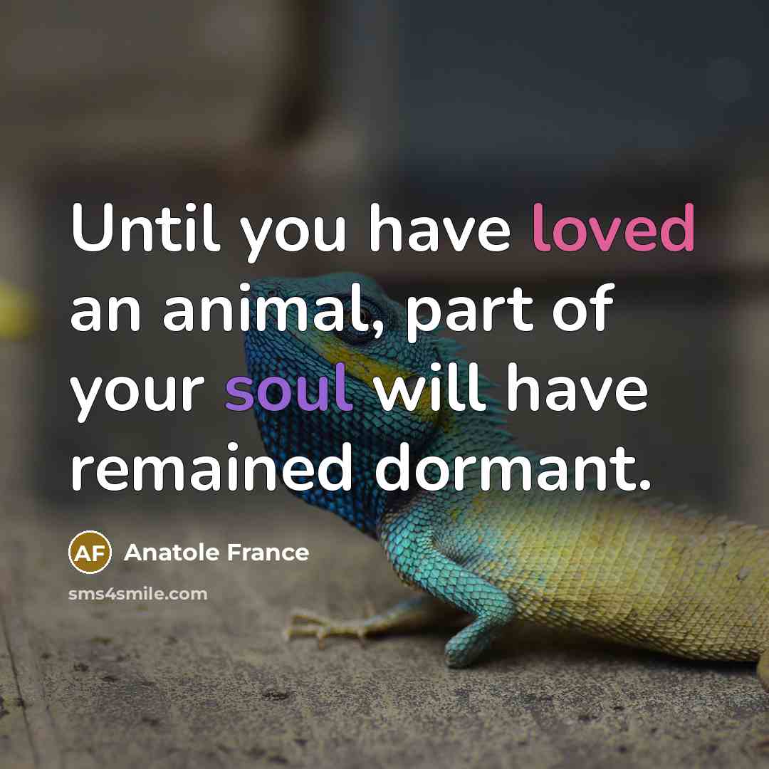 “Until you have loved an animal, part of your soul…” quote by Anatole France