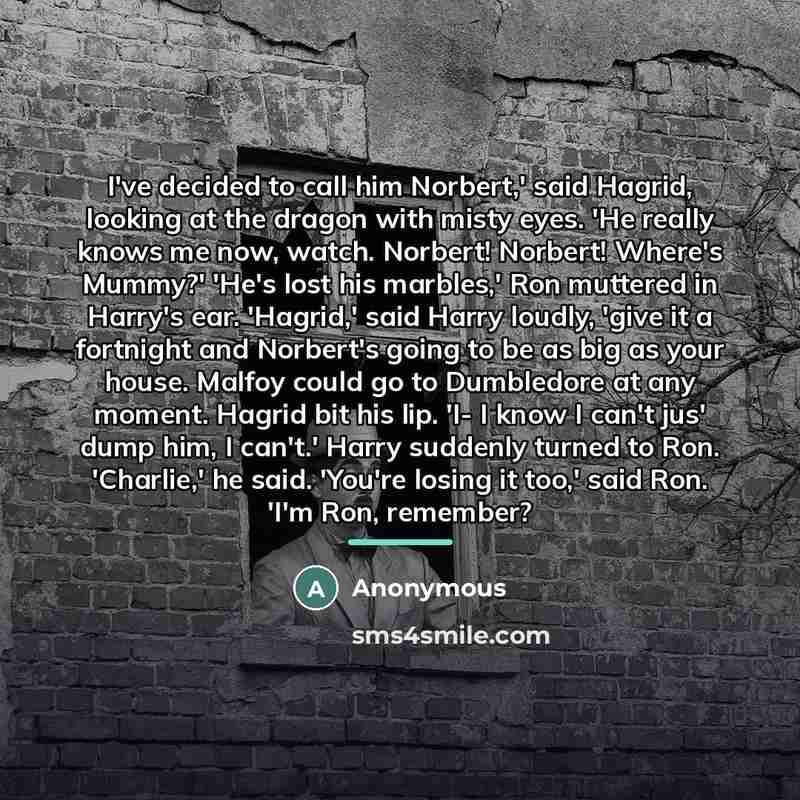 “I've decided to call him Norbert,' said Hagrid, looking at…” quote by Anonymous