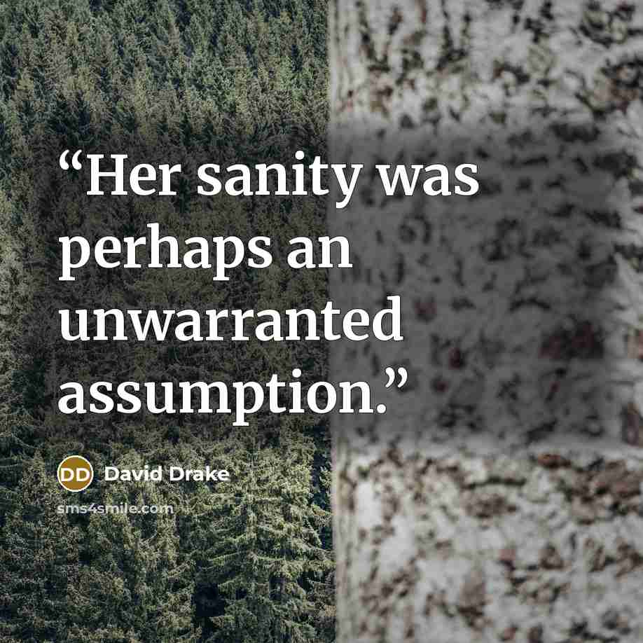 “Her sanity was perhaps an unwarranted assumption.” quote by David Drake