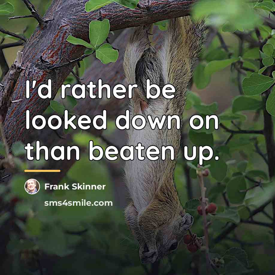 “I'd rather be looked down on than beaten up.…” quote by Frank Skinner