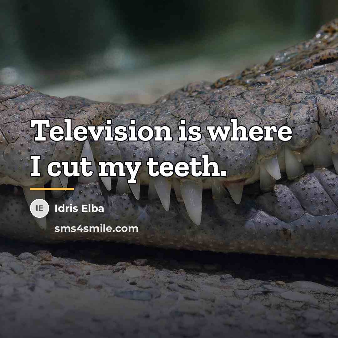 “Television is where I cut my teeth.…” quote by Idris Elba