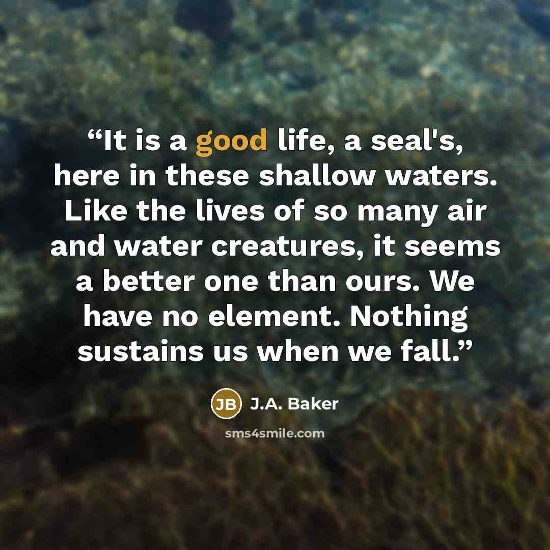 “It is a good life, a seal's, here in these shallow waters. Like the lives of so many air and water creatures, it seems a better one than ours. We have no element. Nothing sustains us when we fall.” quote by J.A. Baker