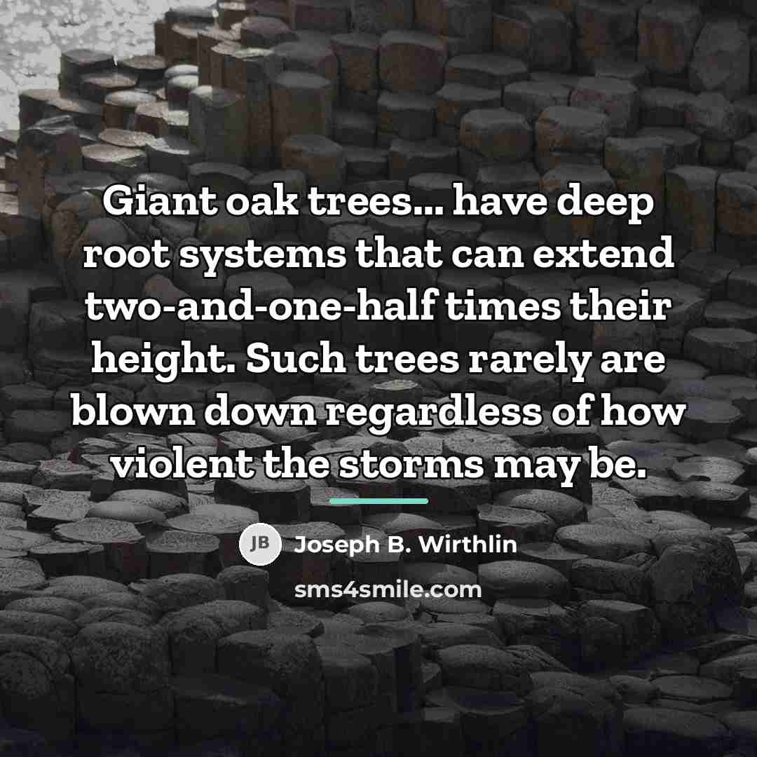 “Giant oak trees... have deep root systems that can extend…” quote by Joseph B. Wirthlin