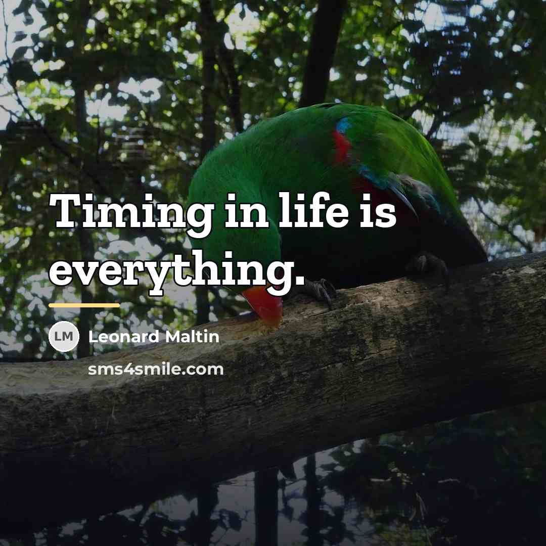 “Timing in life is everything.…” quote by Leonard Maltin