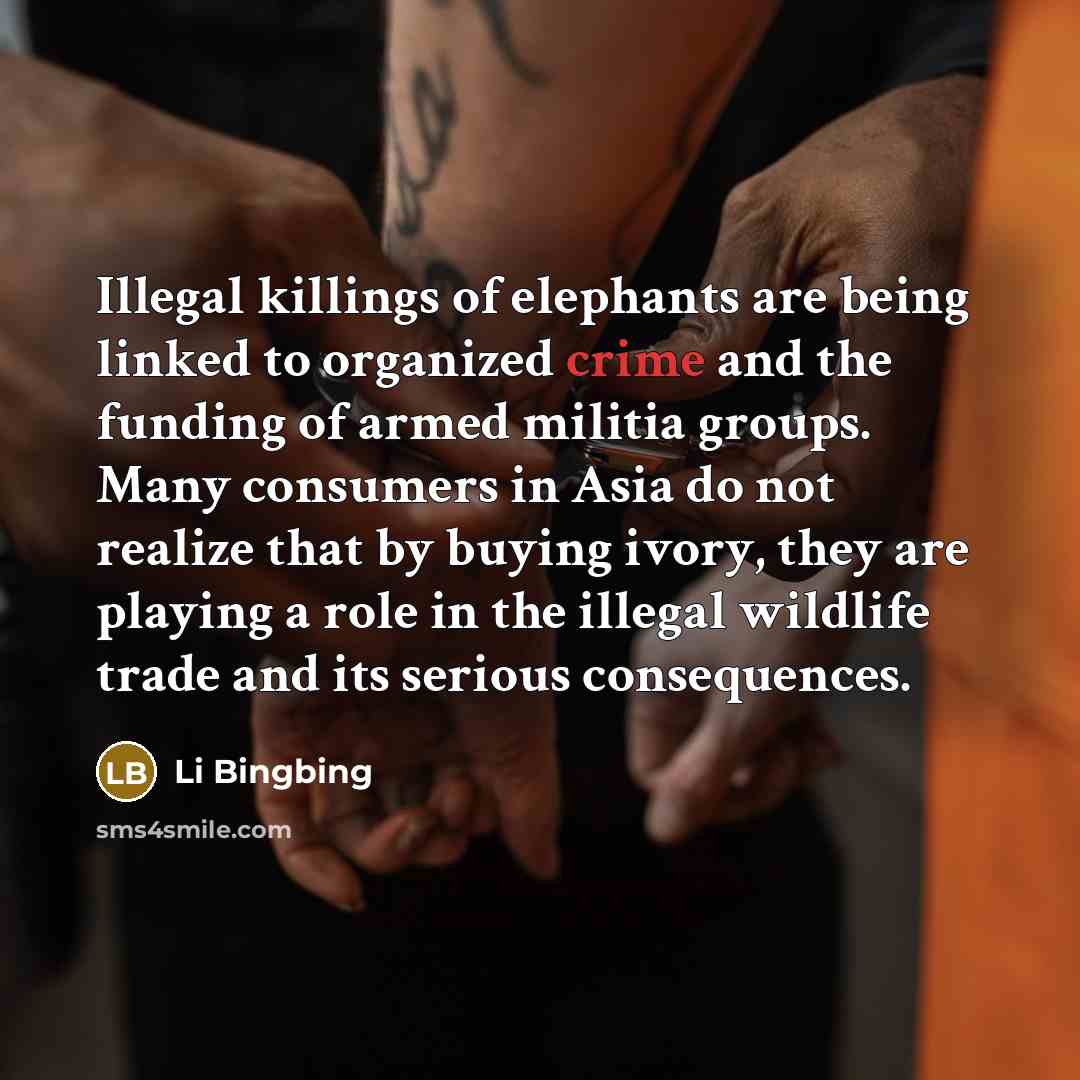 “Illegal killings of elephants are being linked to organized crime…” quote by Li Bingbing