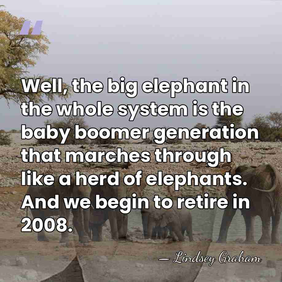 Well, the big elephant in the whole system is the baby boomer&hellip; - Lindsey Graham