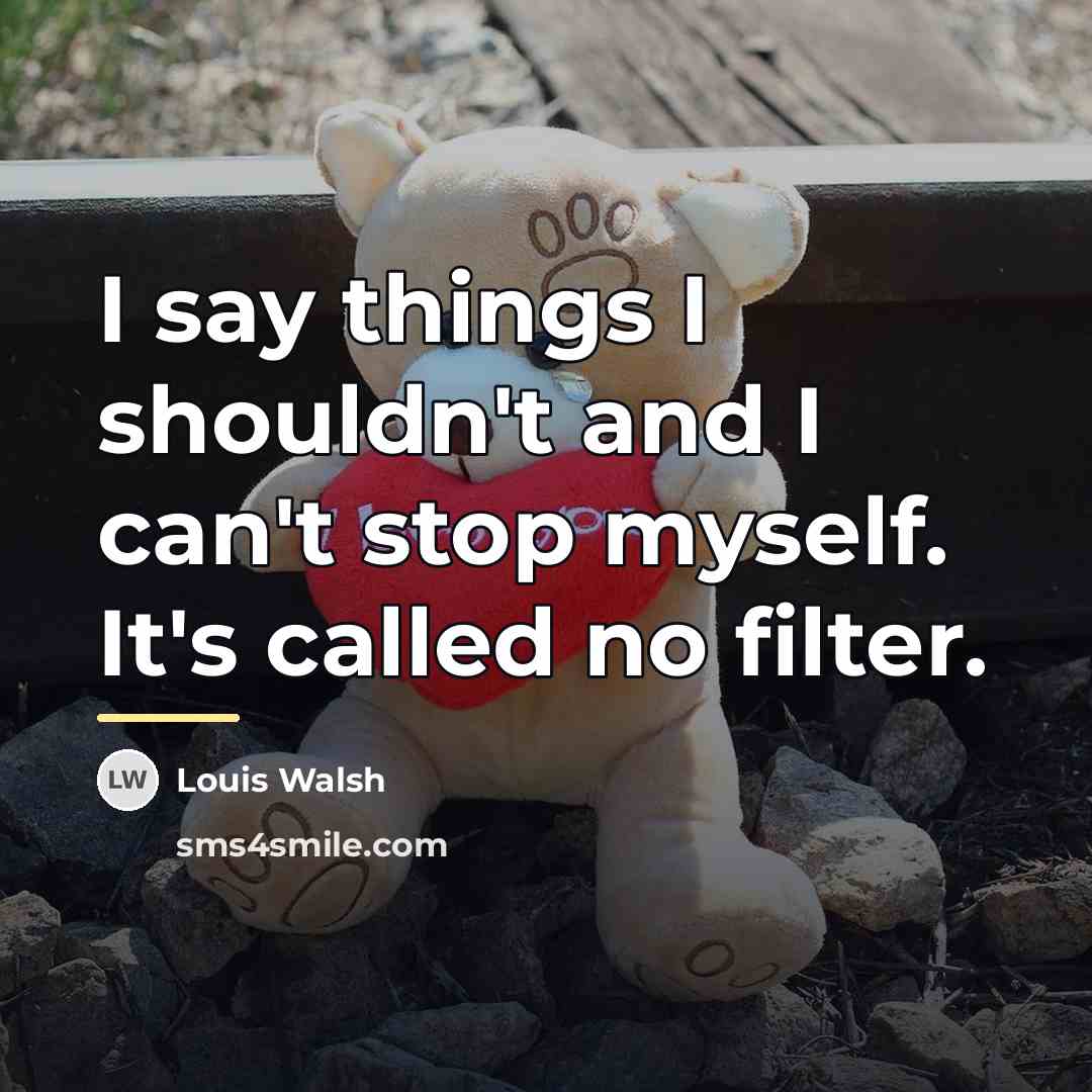 “I say things I shouldn't and I can't stop myself.…” quote by Louis Walsh