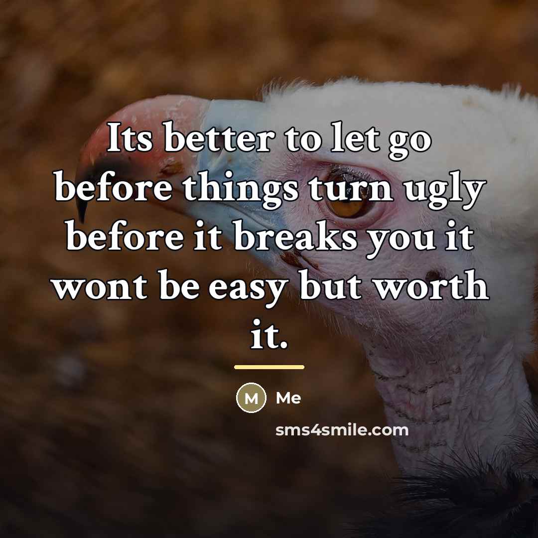“Its better to let go before things turn ugly before…” quote by Me