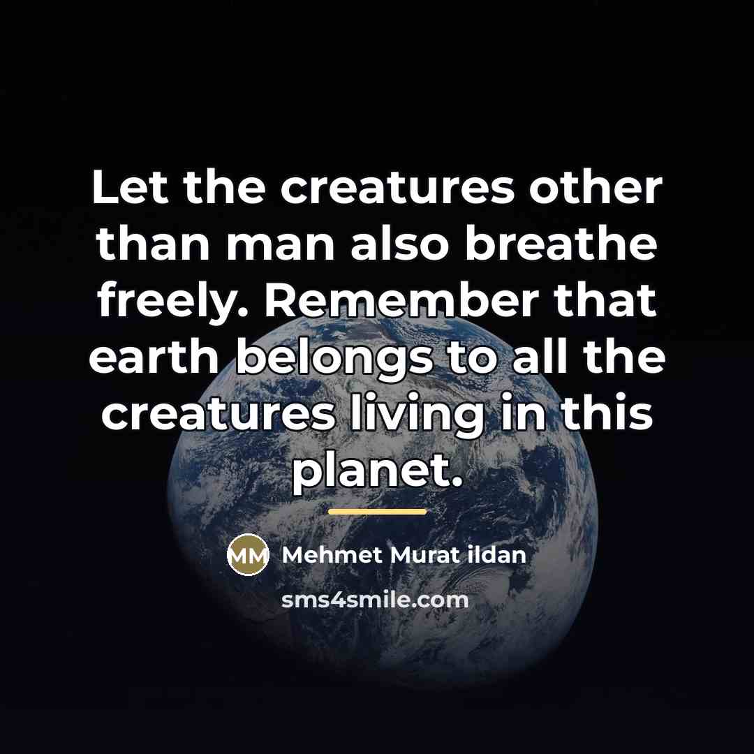“Let the creatures other than man also breathe freely. Remember…” quote by Mehmet Murat Ildan